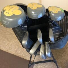 ゴルフクラブ　レディース用９本セット　（ブリジストン）