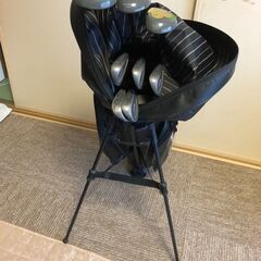 ゴルフクラブ　レディース用９本セット　（ブリジストン）の画像