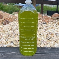 グリーンウォーターあります