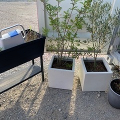 各種植木鉢土入りジョーロ付き