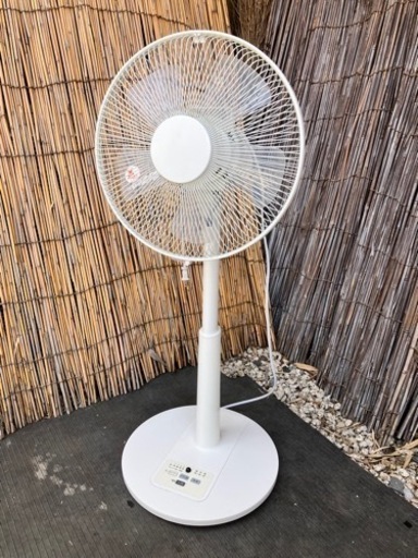 ニトリ扇風機2019年製