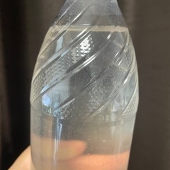 ゾウリムシ　500mLの画像