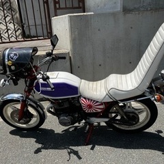 cb250t