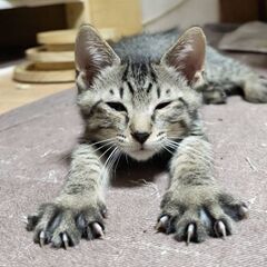 超おっとりボーイ！