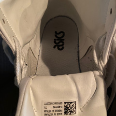  バッシュGEL-PTG MT 中古品　27センチの画像