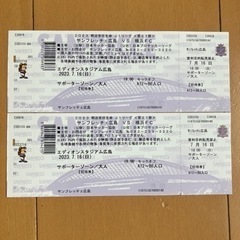 サンフレッチェ 広島　横浜FC戦　7月16日ペア券