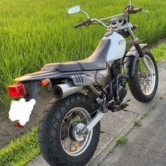 値下げ TW200E DG07J 実働 絶好調の画像