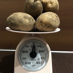 【値下げ】無農薬　じゃがいも　1kg 〜　7〜8個位　何キロでも