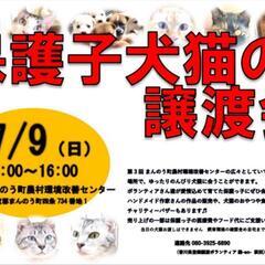 💠7/9譲渡会を開催します💠