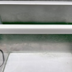 gex水槽の画像