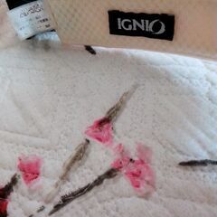 IGNIO サンバイザーの画像