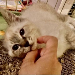 のんびり男の子