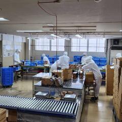 工場内作業員さん大募集ですの画像