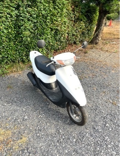 584. 動画あり　ホンダ　ライブディオZX仕様　原付　バイク　50cc 車体