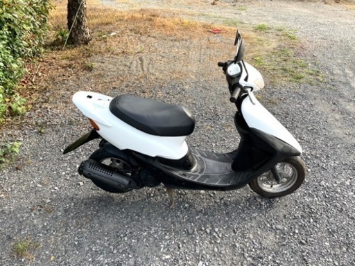 584. 動画あり　ホンダ　ライブディオZX仕様　原付　バイク　50cc 車体