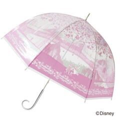 新品希少！セブンイレブン限定 ディズニープリンセス傘 オーロラの画像