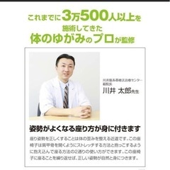 美品★背筋がGUUUN 美姿勢座椅子 姿勢補正+体の歪みストレッチ座椅子の画像