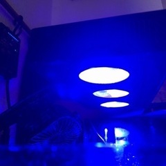 水槽ライト　サンゴ飼育用の画像