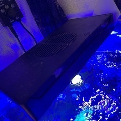 水槽ライト　サンゴ飼育用の画像