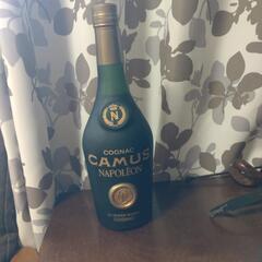 カミューナポレオン