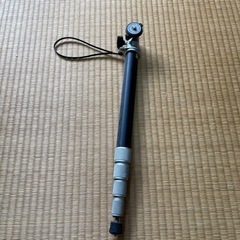 一本脚