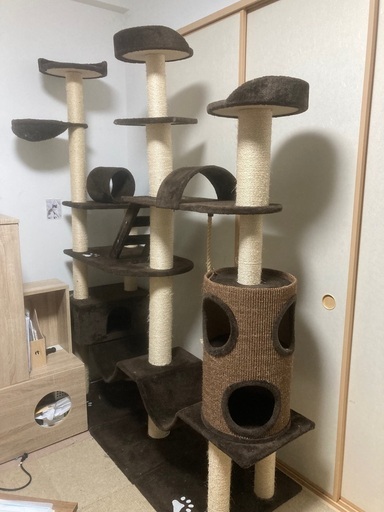 大型　キャットタワー　多頭飼い