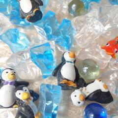 トイレランド 装飾品 🐧🧊 の画像