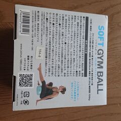 お家フィットネスセット（Heavyフラフープ・小型バランスボール）の画像