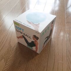 お家フィットネスセット（Heavyフラフープ・小型バランスボール）の画像