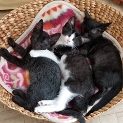 メロメロになりそう⁉️個性抜群の3姫💖