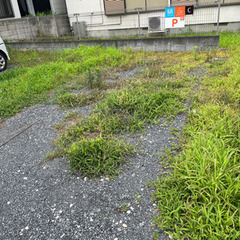 草むしりのお願い