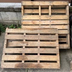 木製パレット
