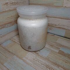 能勢SR血統　菌糸ビン入り幼虫1頭　国産オオクワガタ
