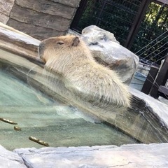 ゆるーく遊びませんか？