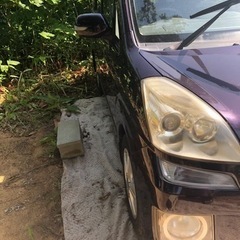 ステラカスタムの画像