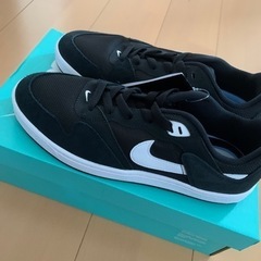NIKE ナイキ SB アリウープ スケートボードシューズ HO22