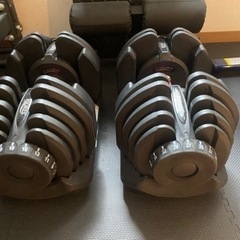 筋トレ器具　ダンベル40キロ　インクラインベンチ　チンニングバー　シシースクワットの画像