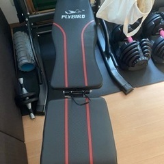 筋トレ器具　ダンベル40キロ　インクラインベンチ　チンニングバー　シシースクワットの画像