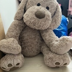 コストコぬいぐるみ(相談中)