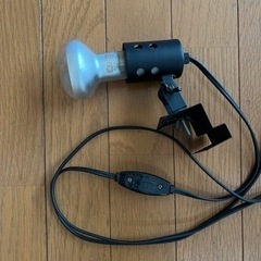 【値下げ】爬虫類ケージ(W91.5xD46.5xH48cm)  & 飼育セット一式 (フトアゴヒゲトカゲ)の画像