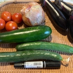本日(7/8)午後どれ新鮮無農薬野菜