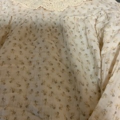 ZARA キッズ　カットソー　ブラウス　サイズ152センチ カラー···ベージュ 柄・デザイン···花柄 袖丈···長袖 着丈···ミドル ネック···Uネック 季節感···春、秋、冬の画像