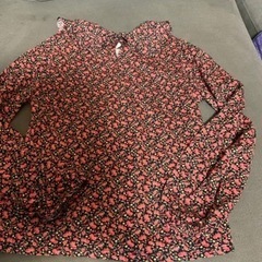 新品未使用　ZARA キッズ　カットソー　ブラウス　サイズ152センチ 柄・デザイン···花柄 袖丈···長袖 季節感···春、夏、秋の画像