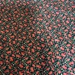 新品未使用　ZARA キッズ　カットソー　ブラウス　サイズ152センチ 柄・デザイン···花柄 袖丈···長袖 季節感···春、夏、秋の画像