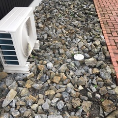 ロックガーデン　庭石