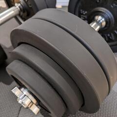  ラバー付ダンベル 30kg×2組（箱なし）の画像