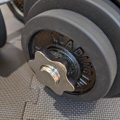  ラバー付ダンベル 30kg×2組（箱なし）の画像