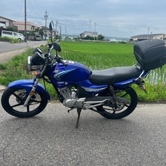 YBR125 ybr125 自賠責７年１２月の画像