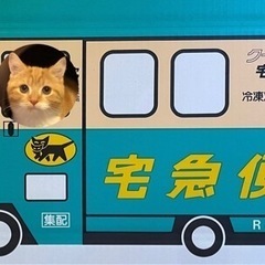 クロネコヤマト　廃盤？　段ボール　お家遊びに