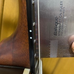 【新古品・レア】Epiphone SST?  Chet Atkinsモデル エレガット の画像